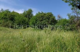 KOSINJ - Lipovo polje, starinska kuća i zemljište 33700 m2, Perušić, Σπίτι