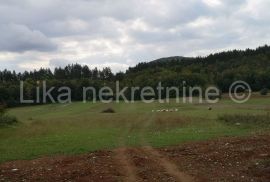 PERUŠIĆ - građevinsko i poljoprivredno zemljište i šuma, Perušić, Tierra