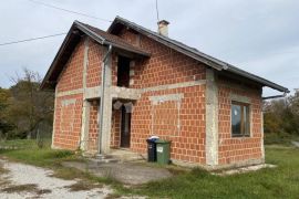 Seosko imanje na 110000 m2 !, Lasinja, House