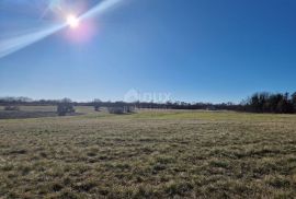 ISTRA, BARBAN - Prostrani kompleks zemljišta na odličnoj lokaciji, Barban, Γη