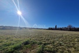 ISTRA, BARBAN - Prostrani kompleks zemljišta na odličnoj lokaciji, Barban, Terreno