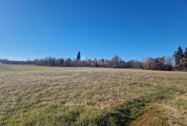 ISTRA, BARBAN - Prostrani kompleks zemljišta na odličnoj lokaciji, Barban, Terra