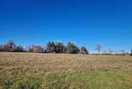 ISTRA, BARBAN - Prostrani kompleks zemljišta na odličnoj lokaciji, Barban, Terra