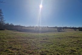 ISTRA, BARBAN - Prostrani kompleks zemljišta na odličnoj lokaciji, Barban, Terrain