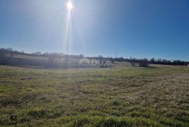 ISTRA, BARBAN - Prostrani kompleks zemljišta na odličnoj lokaciji, Barban, Terrain