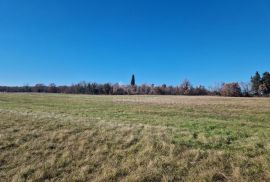 ISTRA, BARBAN - Prostrani kompleks zemljišta na odličnoj lokaciji, Barban, Zemljište