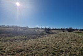 ISTRA, BARBAN - Prostrani kompleks zemljišta na odličnoj lokaciji, Barban, Zemljište