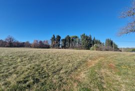 ISTRA, BARBAN - Prostrani kompleks zemljišta na odličnoj lokaciji, Barban, Земля