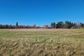 ISTRA, BARBAN - Prostrani kompleks zemljišta na odličnoj lokaciji, Barban, Zemljište