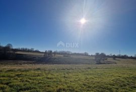 ISTRA, BARBAN - Prostrani kompleks zemljišta na odličnoj lokaciji, Barban, Land