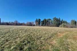 ISTRA, BARBAN - Prostrani kompleks zemljišta na odličnoj lokaciji, Barban, Γη