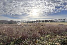 Istra, Tar - vrhunsko ekskluzivno građevinsko zemljište na top lokaciji, 508 m2, Tar-Vabriga, Terrain