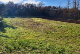 ISTRA, UMAG - Građevinsko zemljište na traženoj lokaciji, Umag, Terrain