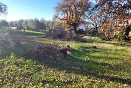 ISTRA, UMAG - Kompleks građevinskog i poljoprivrednog zemljišta u mirnom naselju, Umag, Terrain