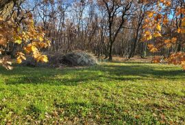 ISTRA, UMAG - Kompleks građevinskog i poljoprivrednog zemljišta u mirnom naselju, Umag, Земля