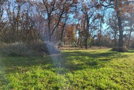 ISTRA, UMAG - Kompleks građevinskog i poljoprivrednog zemljišta u mirnom naselju, Umag, Земля