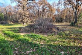 ISTRA, UMAG - Kompleks građevinskog i poljoprivrednog zemljišta u mirnom naselju, Umag, Terrain