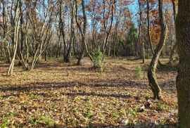 ISTRA, UMAG - Kompleks građevinskog i poljoprivrednog zemljišta s ucrtanim objektom, Umag, Terrain