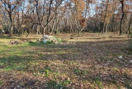 ISTRA, UMAG - Kompleks građevinskog i poljoprivrednog zemljišta s ucrtanim objektom, Umag, Land