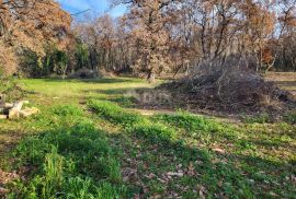 ISTRA, UMAG - Kompleks građevinskog i poljoprivrednog zemljišta s ucrtanim objektom, Umag, Zemljište