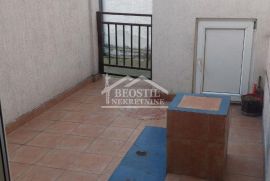 Zemun - Donji Grad - 4.0 ID#19321, Zemun, Appartement