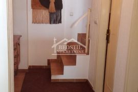 Zemun - Donji Grad - 4.0 ID#19321, Zemun, Apartamento