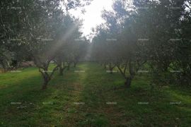 Građevinsko zemljište Građevinski teren sa 3 manja legalizirana objekta. Vareški., Marčana, Land