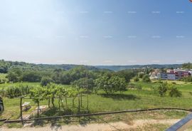 Kuća Kuća na velikom zemljištu., Pazin, Famiglia