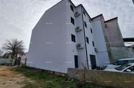 Stan Funtana, Novigrad, Appartement