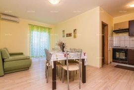 Kuća Vila sa 3 apartmana u blizini Zadra, Zadar, بيت