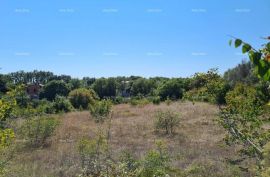 Građevinsko zemljište Prodaja građevinskog zemljišta, Marčana, Terrain