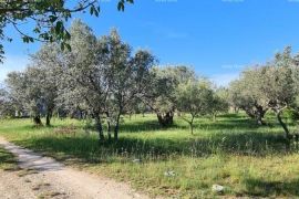 Poljoprivredno zemljište, Fažana, Tierra