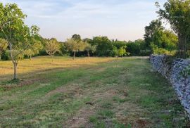 Građevinsko zemljište Građevinsko zemljište u Filipani!, Marčana, Tierra