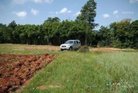 Poljoprivredno zemljište, Svetvinčenat, Tierra