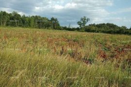 Poljoprivredno zemljište, Svetvinčenat, Land