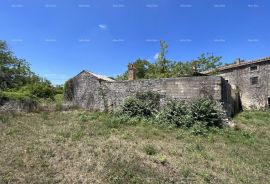 Kuća Poreč Tinjan . Stara kuća za renoviranje, Poreč, House