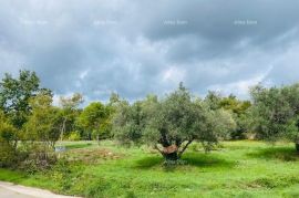 Građevinsko zemljište Građevinska parcela !, Marčana, Land