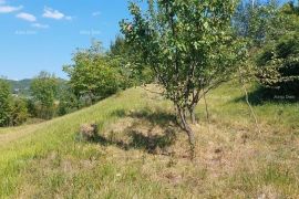 Građevinsko zemljište Građevinsko i poljoprivredno zemljište u Butonigi!, Pazin, Terrain