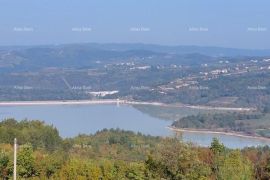 Građevinsko zemljište Građevinsko i poljoprivredno zemljište u Butonigi!, Pazin, Zemljište