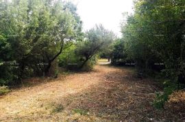 Poljoprivredno zemljište Prodaje se   poljoprivredna parcela u Vodnjanu, Vodnjan, Terreno