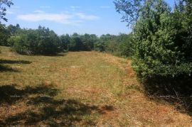 Poljoprivredno zemljište Prodaje se   poljoprivredna parcela u Vodnjanu, Vodnjan, Arazi