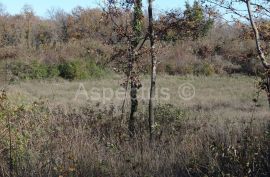 Vodnjan-Divšići poljoprivredno zemljište 50 000m2, Marčana, Terra