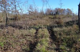 Vodnjan-Divšići poljoprivredno zemljište 50 000m2, Marčana, Terra