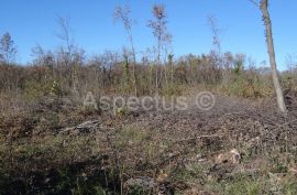 Vodnjan-Divšići poljoprivredno zemljište 50 000m2, Marčana, Terra