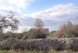 Maslinik, zemljište 2002m2 uz građevinsko područje, Peroj, Vodnjan, Terrain