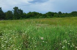 Veliko poljoprivredno zemljište, Poreč, Terrain