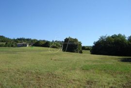 Veliko Zemljište u blizini Poreča, Poreč, Terrain