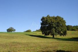 Veliko Zemljište u blizini Poreča, Poreč, Terrain