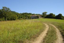 Veliko Zemljište u blizini Poreča, Poreč, Terrain