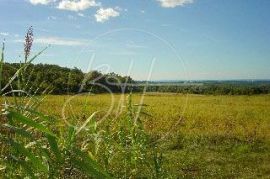 Veliko zemljište u Vižinadi, Vižinada, Zemljište